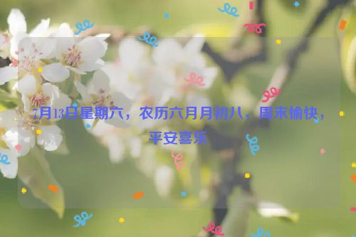 7月13日星期六，农历六月月初八，周末愉快，平安喜乐